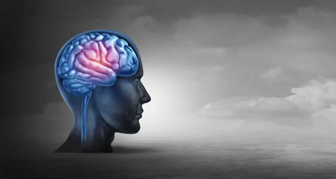 Hirntrauma ist ein umfangreiches Thema, das ein breites Spektrum an Themen abdeckt. Es reicht von emotionalen Traumata aufgrund stressiger Ereignisse im Leben bis hin zu Ernährungsdefiziten, die die optimale Funktionalität des Gehirns beeinträchtigen können. Darüber hinaus können körperliche Traumata wie Gehirnerschütterungen oder Verletzungen, die sich direkt auf das Gehirn auswirken, zu schweren Schäden führen. Verschiedene hirnbezogene Erkrankungen, wie die Alzheimer-Krankheit, die Parkinson-Krankheit und traumatische Hirnverletzungen, sind oft die Folge dieser unterschiedlichen Arten von Traumata. Ebenso ist nicht nur die körperliche Gesundheit des Gehirns von entscheidender Bedeutung, sondern auch das geistige Wohlbefinden spielt eine wesentliche Rolle. Depressionen, Angstzustände und posttraumatische Belastungsstörungen …