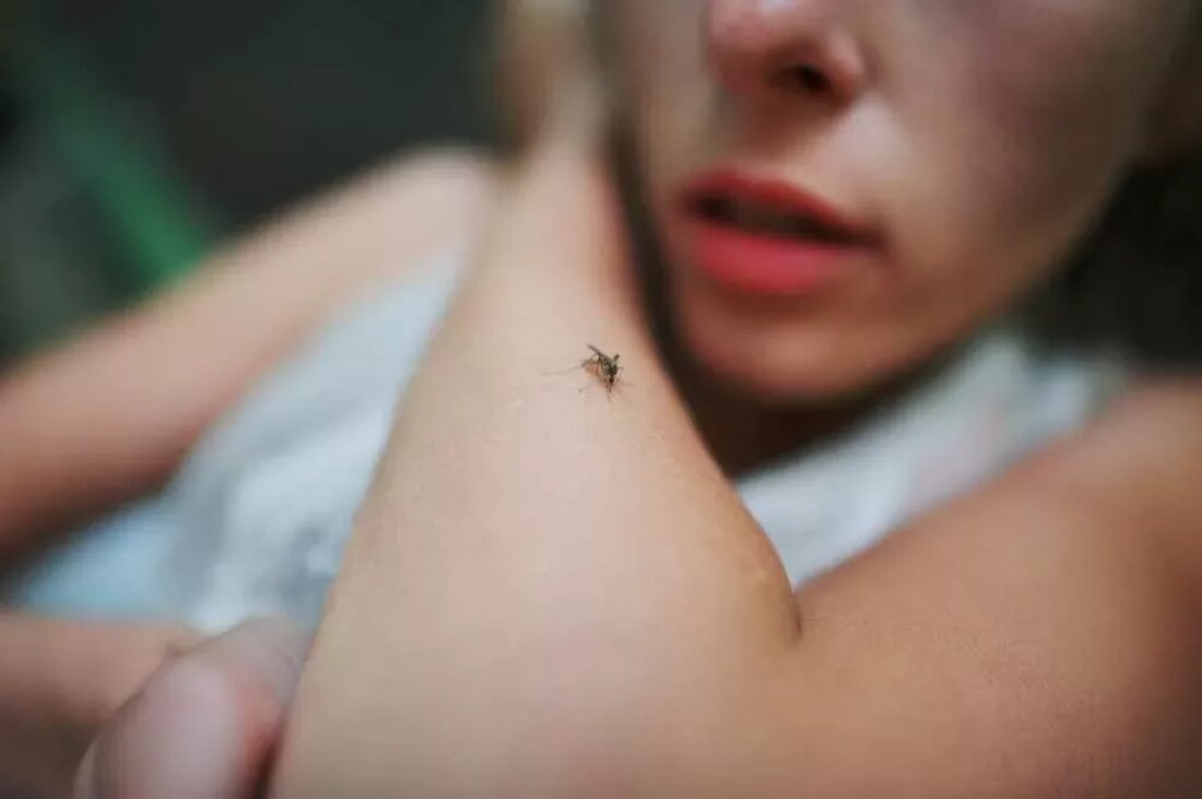 Jeden Sommer bereiten sich Menschen auf der ganzen Welt auf die Ankunft eines ihrer kleinsten und zugleich lästigsten Feinde vor: Mücken. Nach Angaben der Weltgesundheitsorganisation sind Mücken die tödlichsten Lebewesen auf dem Planeten und verursachen jedes Jahr Millionen von Todesfällen, vor allem aufgrund von Malaria. Darüber hinaus übertragen sie verschiedene Krankheiten wie das Zika-Virus, Dengue-Fieber und Gelbfieber. Ihre höchste Saisonalität variiert je nach Region, geht jedoch in der Regel mit wärmerem Wetter und Regenzeiten einher, die ideale Bedingungen für die Brut bieten. Kommerzielle Repellentien sind die Standardlösung, aber viele davon, beispielsweise solche, die DEET enthalten, werfen eine Reihe gesundheitlicher Bedenken …