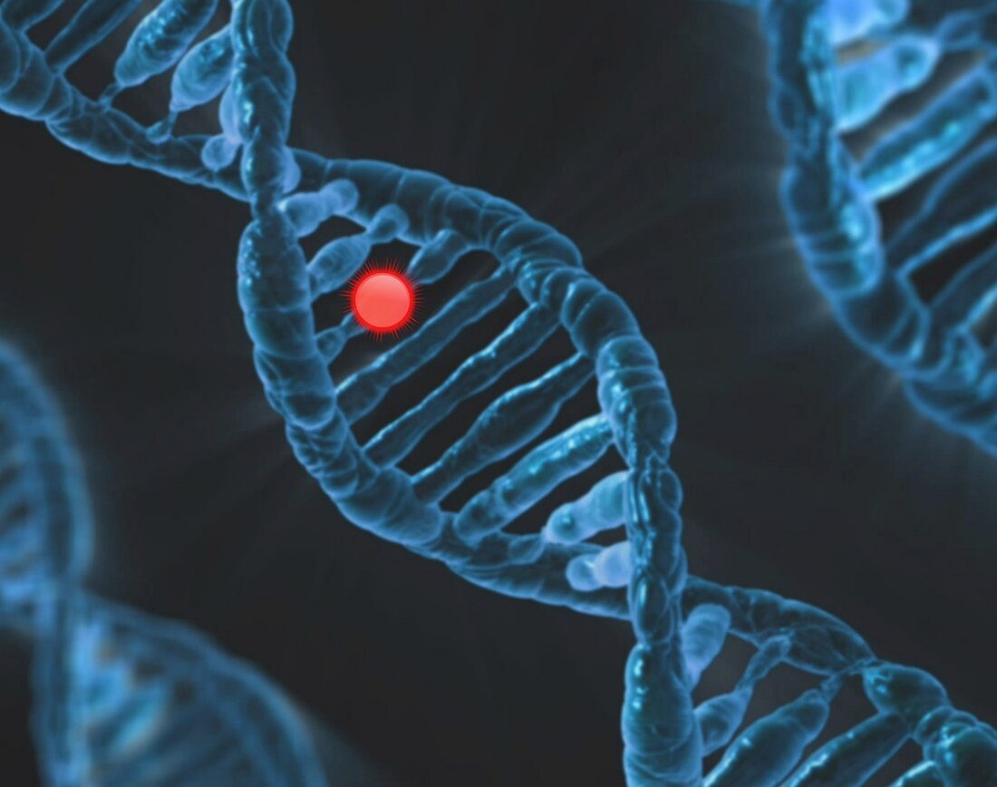 Entdecken Sie die Grundlagen und Anwendungen der orthomolekularen Medizin, ihre Geschichte, Nährstoffe und individuelle Therapien zur Gesundheitsförderung.