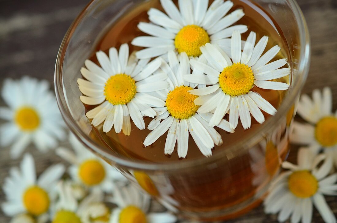 Entdecken Sie die neuesten Trends in der Phytotherapie, innovative Ansätze in der Homöopathie und die Integration von Naturheilkunde in die Schulmedizin. Informieren Sie sich über aktuelle Forschungen und deren Bedeutung für die Patientenversorgung.