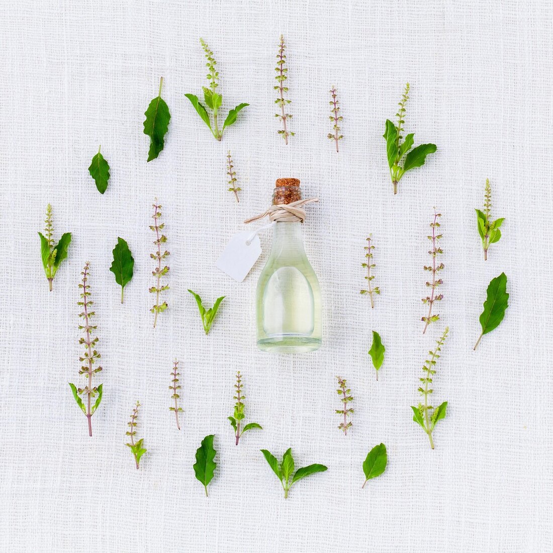 Erforschen Sie die Effektivität alternativer Heilmethoden wie Homöopathie, Akupunktur und Kräutermedizin anhand wissenschaftlicher Evidenz und Patientenerfahrungen.