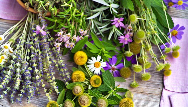Kräuter bei Nervenschmerzen