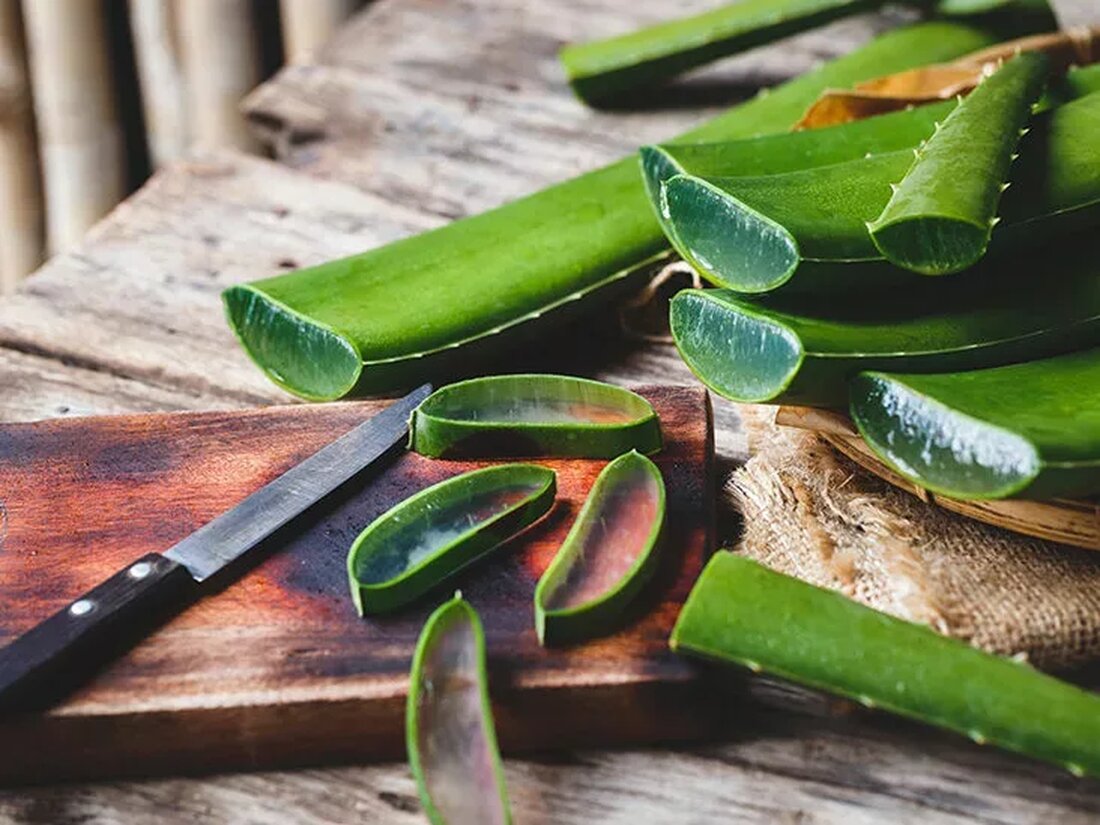 Obwohl das Aloe Vera Gel der Pflanze für seine Fähigkeit bekannt ist, einem Sonnenbrand den Stich und die Wärme zu entziehen, reichen die vorteilhaften Eigenschaften der Aloe Vera, Aloe barbadensis, weit über die Haut hinaus. Alte Völker haben diese beruhigende Pflanze für eine breite Palette von Anwendungen verwendet, von der Kontrolle von Reizungen über das Reinhalten von Wunden bis hin zur Linderung von Magen-Darm-Störungen. Neue Forschungsergebnisse zeigen, dass die Heilungsfähigkeiten von Aloe Vera zahlreicher sein können als bisher angenommen. Es hat eine Fülle von gesundheitsfördernden Verbindungen, die fast alle körpereigenen Systeme bieten. ((Link entfernt)) Welche Nährstoffe enthält Aloe Vera? Obwohl Sie vielleicht nicht wegen seiner …