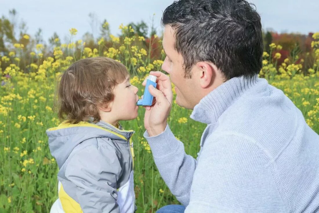 Allergien, Asthma & die Atemwege. „Mir geht es gut, es sind nur meine Allergien“, hört man nur allzu oft. Allergien gehören zu den häufigsten Symptomen, die am häufigsten außer Acht gelassen werden. Allergien und allergiebedingte Krankheiten wie allergische Rhinitis, atopische Dermatitis, Nahrungsmittelallergien und allergisches Asthma sind äußerst häufig und betreffen jedes Jahr zig Millionen Männer, Frauen und Kinder. Die mit Allergien verbundenen Symptome treten auf, wenn der Körper etwas ausgesetzt ist, auf das das Immunsystem überreagiert. Das Auftreten von Allergiesymptomen kann mit einer beliebigen Anzahl von Auslösern wie Lebensmitteln, Cremes, Berührungen bestimmter Materialien (auch anderer Personen!), Insekten, Haustieren, Pollen, Staub …