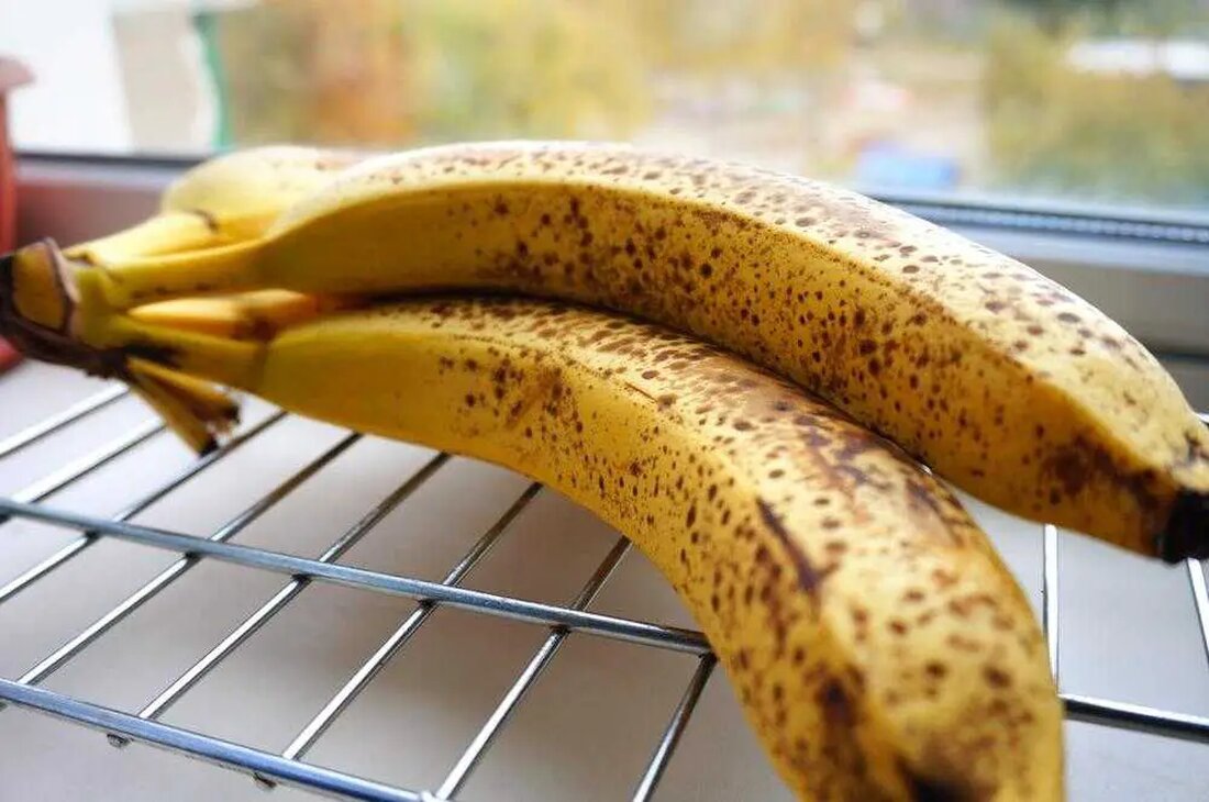 Warum werden Bananen so schnell braun? Die Hauptschuldigen für das Bräunen von Bananen sind Pflanzenhormone – genauer gesagt ein bestimmtes Hormon namens Ethylen. Ethylen beschleunigt den Reifungsprozess bei Früchten und ist verantwortlich für das Bräunen von Bananen. Während einige Obst- und Gemüsesorten Ethylen nur aufnehmen, produzieren andere wie Bananen das Hormon aktiv. Es gibt zwei Arten von ethylenproduzierenden Früchten: klimakterische und nicht-klimakterische Früchte. Bananen gehören zu den klimakterischen Früchten, die während des Reifungsprozesses einen starken Anstieg der Ethylenproduktion verzeichnen. Nicht-klimakterische Früchte wie Zitrusfrüchte und Melonen hingegen hören auf Ethylen zu produzieren, sobald sie von der Pflanze oder Rebe entfernt werden. …