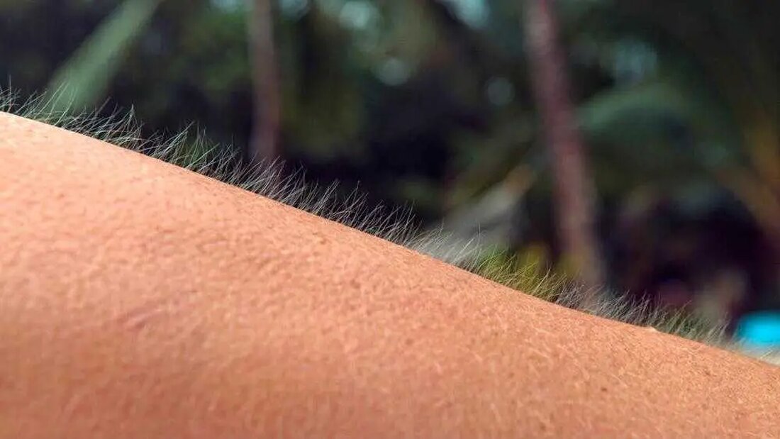 Haben Sie schon einmal das Erlebnis gehabt, dass gerade ein richtig guter Song läuft und Sie plötzlich eine Gänsehaut bekommen? Eine der unvergesslichsten Momente, die mir passiert ist, war, als ich in meinem letzten Semester die Straße zu meinem College entlang ging und „I See Fire“ von Ed Sheeran aus „Der Hobbit“ in meinem Durchlauf auftauchte. Spielen Sie Folgendes: Haben Sie Schüttelfrost, einen Kloß im Hals oder vielleicht ein Kribbeln im Nacken verspürt? Dann haben Sie vielleicht ein einzigartigeres Gehirn, als Sie denken. Alissa Der Sarkissian, wissenschaftliche Mitarbeiterin am Brain and Creativity Institute der USC, hat eine einzigartige Reaktion auf …
