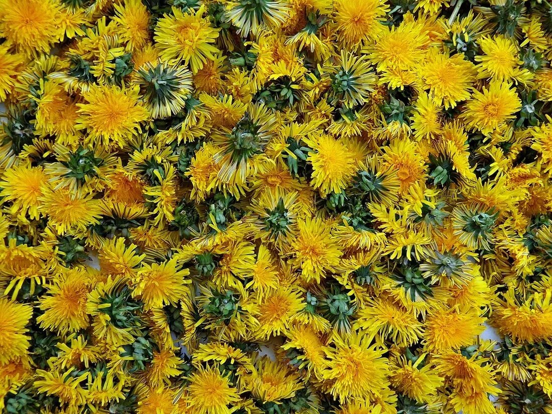 Blasenentzündung Hausmittel: Natürliche Wege zur Heilung Eine Blasenentzündung, auch Zystitis genannt, ist eine Entzündung der Harnblase, die oft durch eine bakterielle Infektion verursacht wird. Die Symptome einer Blasenentzündung können sehr unangenehm sein und reichen von häufigem Harndrang über Schmerzen und Brennen beim Wasserlassen bis hin zu Blut im Urin. Glücklicherweise gibt es eine Reihe von Hausmitteln, die helfen können, die Symptome zu lindern und den Heilungsprozess zu beschleunigen. In diesem Artikel werden wir einige natürliche Wege zur Heilung einer Blasenentzündung besprechen. Ursachen und Risikofaktoren Bevor wir zu den Hausmitteln kommen, ist es wichtig zu verstehen, was eine Blasenentzündung verursachen kann …
