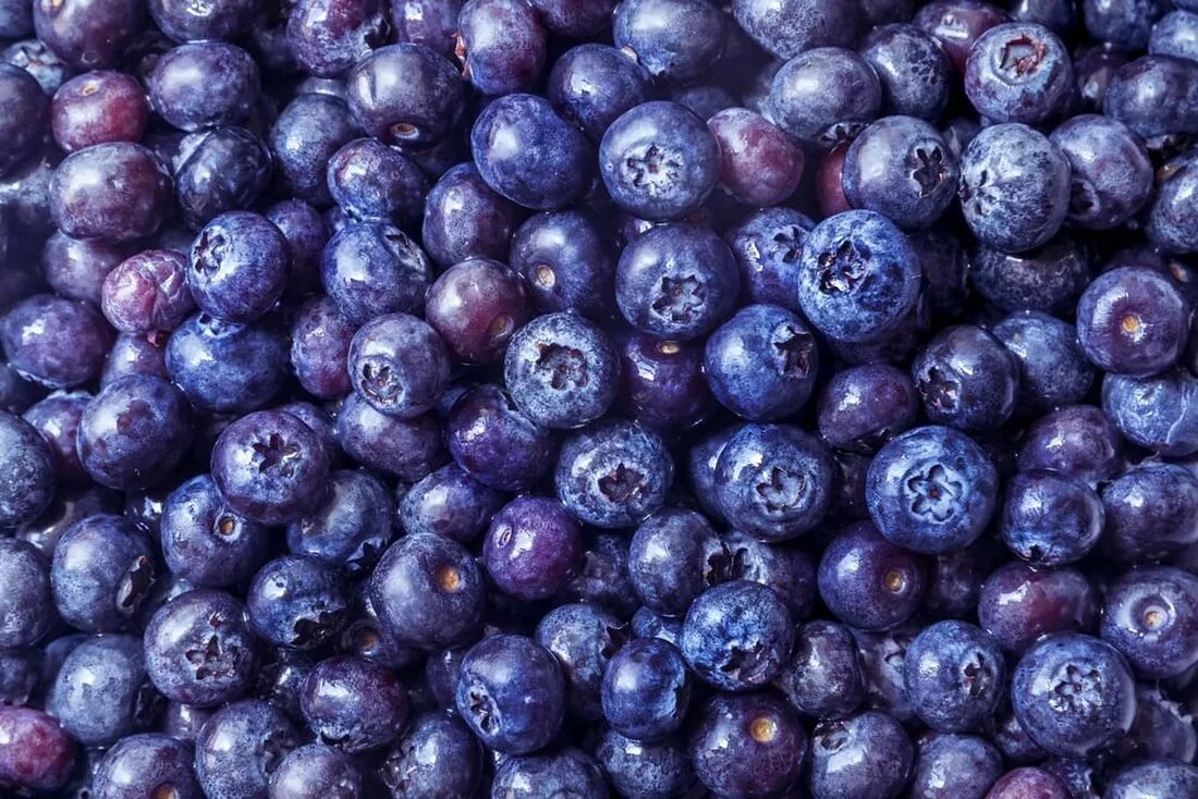 Eine klinische Studie, die an der schwedischen Universität Lund durchgeführt wurde, zeigt, dass der Verzehr von Blaubeeren die Reizung des Darms lindern und schützen kann. Sie fanden auch heraus, dass diese vorteilhaften Wirkungen auf den Körper durch den Verzehr von probiotischen Bakterien zusammen mit den Beeren verstärkt werden. (Quelle) Die beiden Forscher Camilla Bränning und Åsa Håkansson haben herausgefunden, dass Blaubeeren und gewöhnliche Stämme probiotischer Bakterien zusammen eine bessere Leistung zeigten als beide, wenn sie alleine getestet wurden. Sie fanden auch, dass diese Kombination bei der Bekämpfung der Symptome von Darmkrankheiten wirksamer ist als Probiotika, die mit anderen Arten von Ballaststoffen wie Hafer und …