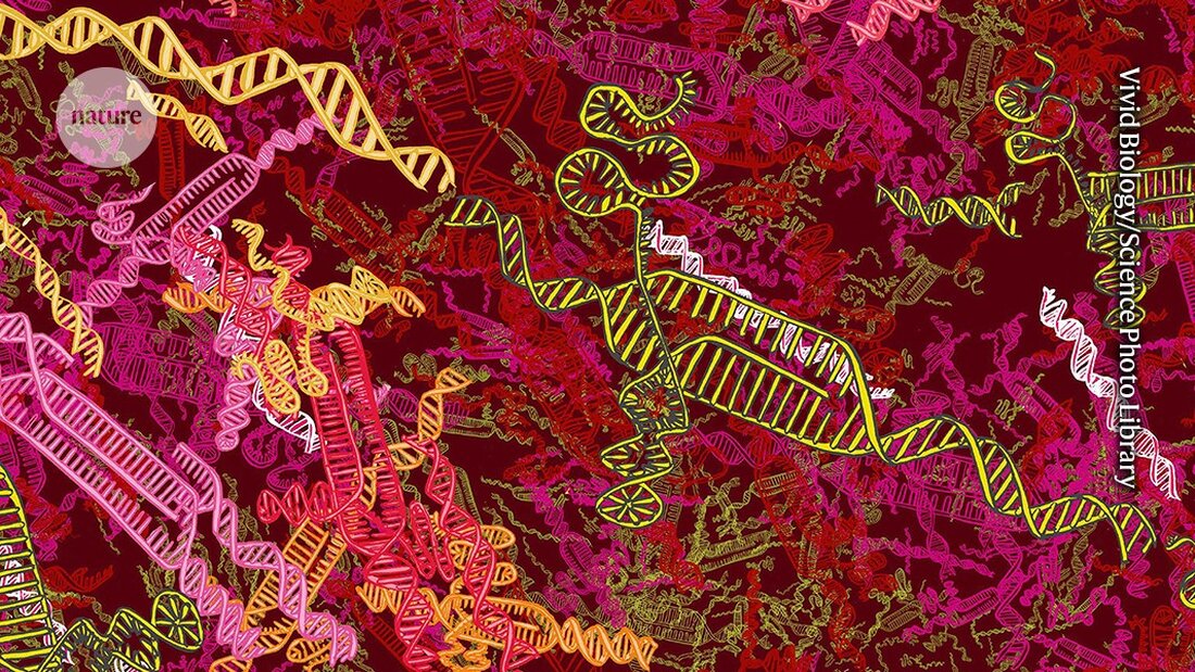 Die neuesten Fortschritte in der CRISPR-Genomeditierung versprechen effektive Therapien gegen Blutkrankheiten im Klinikalltag.