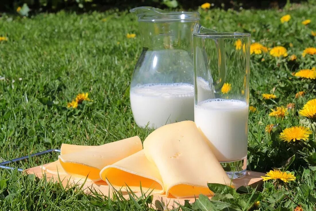 Calcium und Osteoporose: Ein Leitfaden Calcium ist ein essentieller Nährstoff für unseren Körper und spielt eine wichtige Rolle bei der Erhaltung der Knochengesundheit. Osteoporose hingegen ist eine Erkrankung, die zu einer erhöhten Knochenbrüchigkeit führt. In diesem Leitfaden werden wir uns genauer mit der Bedeutung von Calcium für die Knochengesundheit und der Rolle, die es bei der Prävention von Osteoporose spielt, auseinandersetzen. Calcium und Knochengesundheit Calcium ist der wichtigste Mineralstoff in unseren Knochen. Unsere Knochen bestehen zu einem großen Teil aus Calciumverbindungen, insbesondere aus Hydroxylapatit, einer Calciumphosphatverbindung. Calcium unterstützt den Aufbau und die Stabilität der Knochenstruktur und hilft, sie stark und …