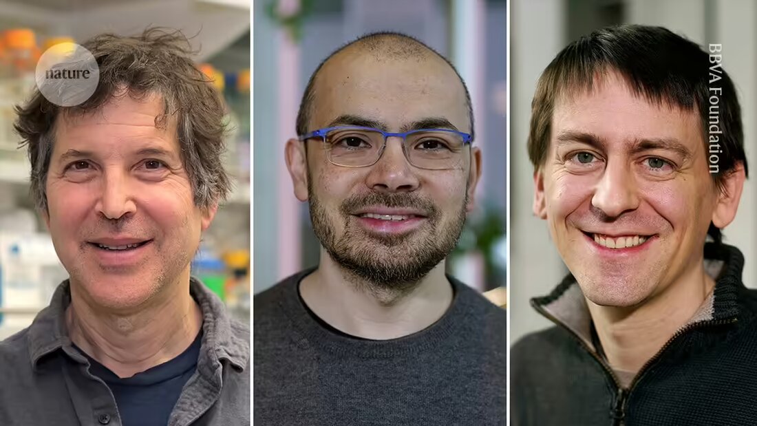 Der Chemie-Nobelpreis 2024 wurde an die Entwickler von AlphaFold verliehen, ein KI-Tool, das Proteinstrukturen revolutioniert.