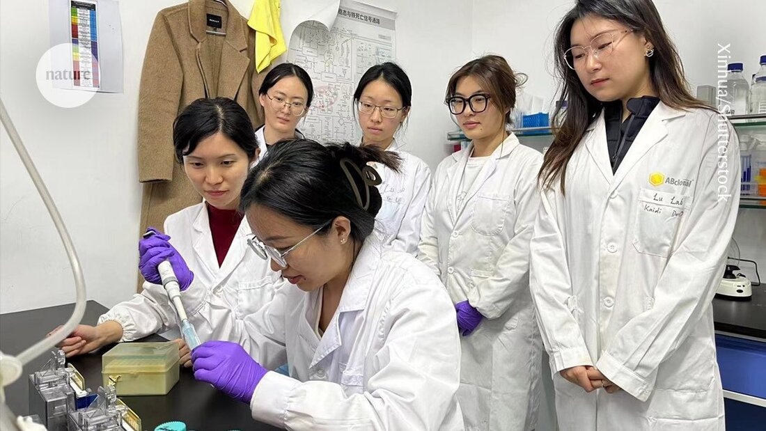 Chinesische Wissenschaftler berichten, dass Reformen der NSFC den Zugang zu Forschungsstipendien für junge Forscher erschweren.