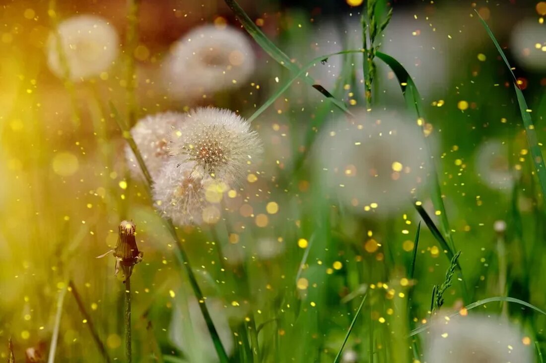 DIY-Kosmetik mit Heilkräutern Heilkräuter haben seit jeher eine wichtige Rolle in der Naturheilkunde und werden auch immer häufiger in der Kosmetik verwendet. Ihre natürlichen Inhaltsstoffe können viele positive Effekte auf die Haut haben und eignen sich daher perfekt für die Herstellung von DIY-Kosmetikprodukten. In diesem Artikel werden verschiedene Heilkräuter vorgestellt und deren Wirkung auf die Haut erklärt. Außerdem werden einfache Rezepte für selbstgemachte Kosmetikprodukte mit Heilkräutern präsentiert. Heilkräuter und ihre Wirkung Kamille Die Kamille ist eine der bekanntesten Heilkräuter und besonders für ihre beruhigende Wirkung auf die Haut bekannt. Sie wirkt entzündungshemmend, antibakteriell und lindernd bei Hautreizungen. Kamillentee eignet sich …