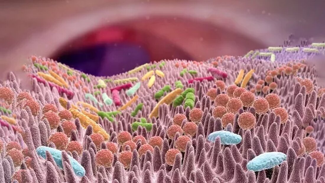 Eine gesunde Darmflora kann Ihre beste Immunabwehr sein Erkältungs- und Grippesaison könnten schrecklich sein, also werden wir unsere Probiotika bereit haben! Wir decken unsere Grundlagen in Bezug auf Prävention und Behandlung ab, indem wir unseren Mut stärken. Was hat die Darmflora damit zu tun? Die Weltgesundheitsorganisation definiert Probiotika als „lebende Mikroorganismen, die, wenn sie in angemessenen Mengen verabreicht werden, dem Wirt einen gesundheitlichen Nutzen bringen“. Die meisten von uns sind sich bewusst, dass Probiotika und Darmgesundheit die Verdauung verbessern können, aber was hat das mit Immunität zu tun? Eigentlich sehr viel. Forscher, einschließlich derer an der Johns Hopkins University, haben …