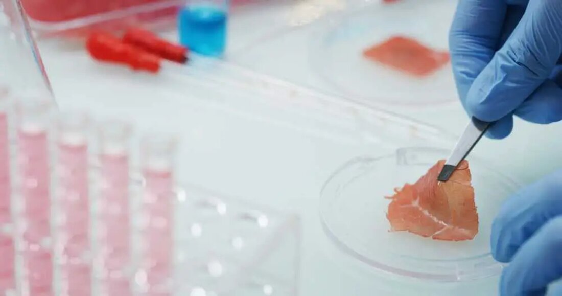 ## Der kulturelle Statement von kultiviertem Fleisch Entwickelt von einem Team amerikanischer Wissenschaftler bietet das Ouroboros Steak einen Einblick, wie Fleisch, das aus menschlichen Zellen hergestellt wird, aussehen könnte. Trotz seiner gewagten Prämisse ist es nicht für den tatsächlichen Verzehr gedacht. Stattdessen stellt es eine avantgardistische Aussage gegen den Einsatz von fötalem Rinderserum (FBS) dar – einer proteinreichen Wachstumsflüssigkeit, die aus Kälberföten gewonnen wird, die oft geschlachtet werden, um in der Fleischindustrie verwendet zu werden. Andrew Pelling, einer der Wissenschaftler hinter dem Projekt, äußerte Bedenken hinsichtlich FBS und betonte sowohl die finanziellen Kosten als auch die Kosten in Bezug auf …