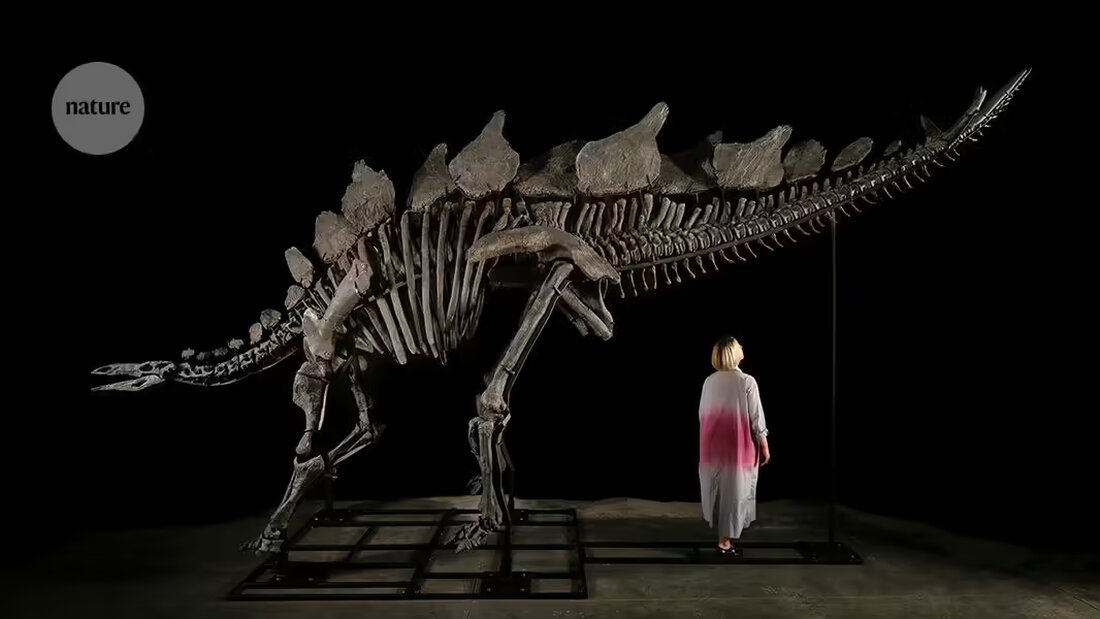 Entdecken Sie die faszinierendsten Wissenschaftsbilder des Monats Juli, darunter das teuerste Dinosaurierskelett der Welt und vieles mehr. Tauchen Sie ein in die Welt der Wissenschaft mit unseren eindrucksvollen Bildern.