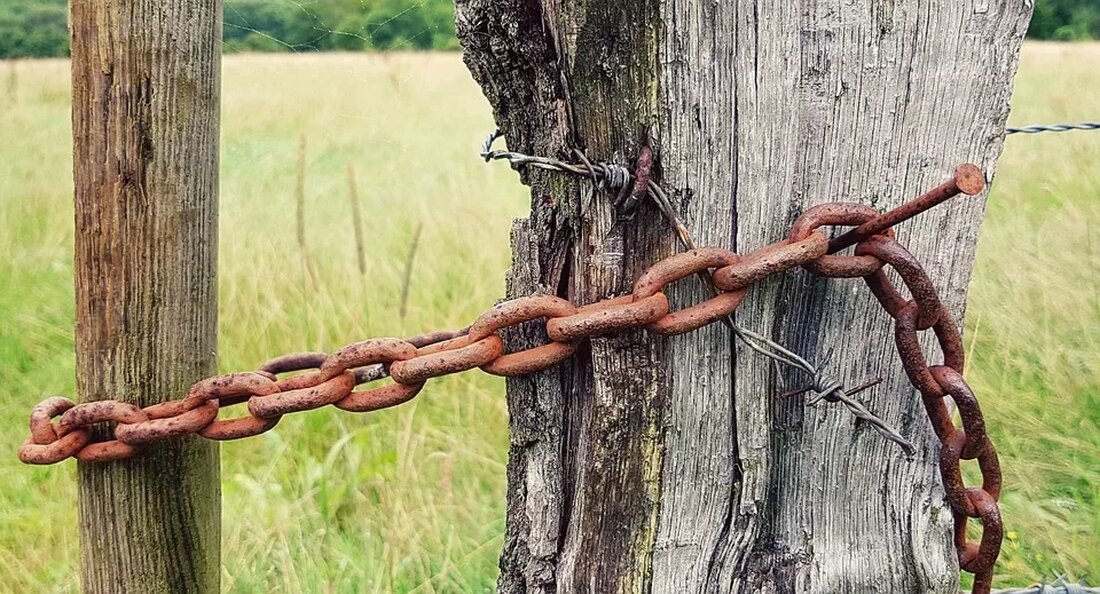 Die Kraft des Fastens bei Haustieren: Eine Einführung Einführung Fasten ist eine Praktik, bei der Menschen eine bestimmte Zeit lang auf Nahrung verzichten. Doch wussten Sie, dass auch Haustiere von dieser Methode profitieren können? Das Fasten bei Haustieren gewinnt immer mehr an Popularität, da es verschiedene gesundheitliche Vorteile bietet. In diesem Artikel werden wir uns genauer damit beschäftigen und die Auswirkungen des Fastens auf Haustiere erklären. Was ist Fasten? Definition Fasten ist der freiwillige Verzicht auf Nahrung für einen bestimmten Zeitraum. Es ist eine natürliche Art des Körpers, sich selbst zu reinigen und zu heilen. Während des Fastens baut der …