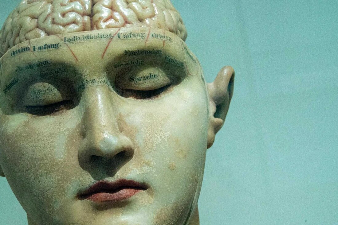 Der mächtige Zirbeldrüse: mehr als nur eine winzige Erbse Tief im Labyrinth des menschlichen Gehirns liegt eine erbsengroße Drüse, die seit Jahrhunderten die Vorstellungskraft von Philosophen, Spiritualisten und Wissenschaftlern gleichermaßen fasziniert: die Zirbeldrüse. Eng zwischen den beiden Hemisphären des Gehirns positioniert, mag dieses winzige Organ zwar klein sein, aber seine Auswirkungen auf unsere Gesundheit und unser Bewusstsein sind tiefgreifend. Die innere Uhr der Natur: Die Hauptrolle der Zirbeldrüse besteht darin, Melatonin zu produzieren, ein Hormon, das unseren Schlaf-Wach-Rhythmus reguliert. Im Einklang mit dem Wechsel von Tageslicht und Dunkelheit hilft es, unsere innere Uhr zu orchestrieren und sorgt für erholsame Nächte …