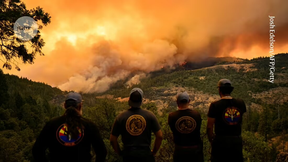 Erfahren Sie mehr über die verheerenden Waldbrände in Nordamerika, die nicht nur groß und schnell sind, sondern auch ihre eigenen Gewitter erzeugen. Wissenschaftler warnen vor zunehmend exotischem Brandverhalten, das auf den Klimawandel zurückzuführen ist.