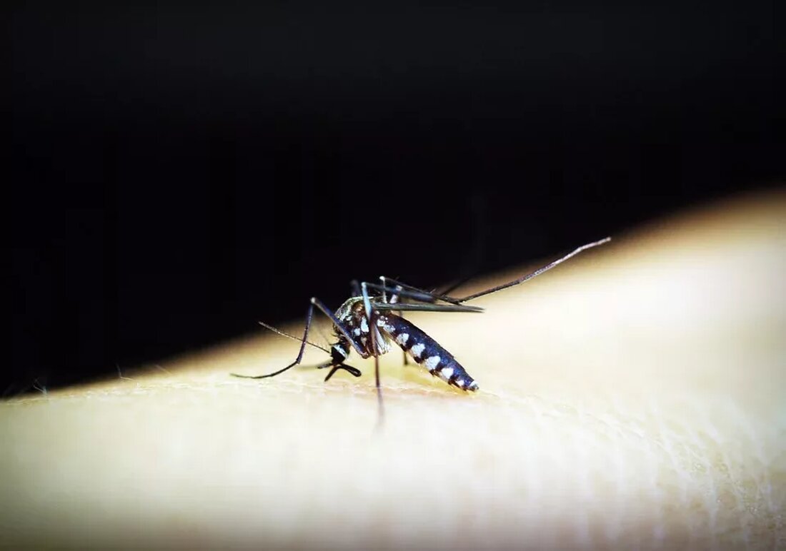 Fieber senken Hausmittel: Sanfte Wege zur Temperatursenkung Fieber ist ein häufig auftretendes Symptom bei verschiedenen Krankheiten. Es ist eine natürliche Reaktion des Körpers auf Infektionen und Entzündungen. Ein erhöhtes Fieber kann jedoch unangenehm sein und das allgemeine Wohlbefinden beeinträchtigen. Glücklicherweise gibt es viele Hausmittel, die dabei helfen können, die Körpertemperatur zu senken. In diesem Artikel werden verschiedene sanfte Methoden zur Fiebersenkung vorgestellt, die ohne den Einsatz von Medikamenten auskommen. Inhaltsverzeichnis Warum Fieber senken? Wann ist es sinnvoll, Fieber zu senken? Hausmittel zur Fiebersenkung Wasser und Flüssigkeitszufuhr Körperkühlung mit feuchten Tüchern Schwitzkuren Kräutertees zur Fiebersenkung Ruhe und Schlaf Häufig gestellte Fragen …