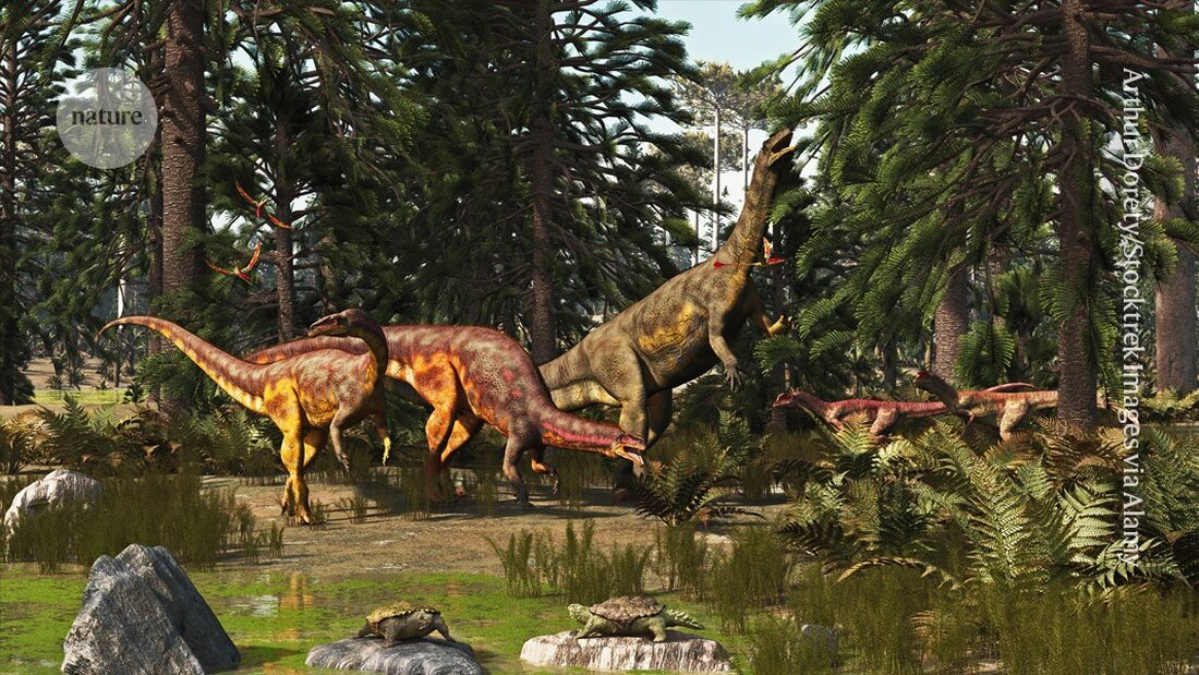 Fossilien von Dinosaurierkot und -erbrochenem enthüllen, wie sich die Arten im späten Trias entwickelten und zur Dominanz auf der Erde führten.