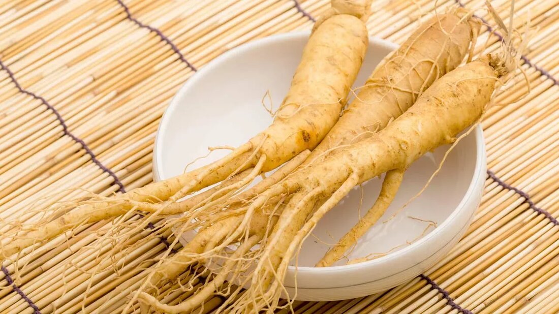Die koreanische Ginsengwurzel (Panax Ginseng) – auch als asiatischer Ginseng oder chinesischer Ginseng bekannt – ist ein traditionelles Heilkraut, das seit mehr als 2.000 Jahren von asiatischen Kulturen verwendet wird. ((Link entfernt)) „Ich bin in einem koreanischen Haushalt aufgewachsen und die Familie meiner Mutter wendet sich täglich der chinesischen Medizin zu“, sagt Eileen Cho, eine Schriftstellerin aus Paris, Frankreich. Ihre Mutter macht eine Suppe mit Ginseng, genannt Samgyetang, um sie an den heißesten Tagen des Jahres zu essen. Sie weiß, dass die würzige Wurzel den Körper erwärmen und sogar Schweiß verursachen würde – was Sie an heißen Tagen tatsächlich abkühlt. Cho nimmt …