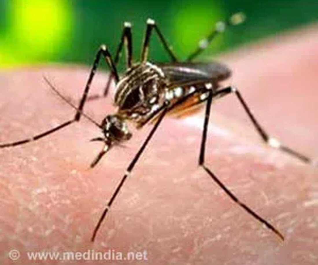 Was ist Malaria? Malaria ist eine der schwersten Krankheiten, die von Mücken auf den Menschen übertragen werden. Es ist in vielen Teilen der Welt weit verbreitet. Anopheles-Mücken sind für die Verbreitung von Malaria auf den Menschen verantwortlich, der das einzige Opfer des Parasiten ist. Einer der beunruhigendsten Faktoren dabei ist, dass die Resistenz des Malaria-Erregers gegen Malaria-Medikamente zunimmt und sich weiter ausbreitet. Diese Mücken gedeihen nur im tropischen Klima und können in kalten Gebieten nicht überleben. Häufige Ursachen von Malaria Plasmodium-Parasiten (verursachen Malaria) Anopheles-Mücken (verbreiten Malaria) Klimabedingungen Reisende Migranten Hausmittel gegen Malaria Tipp 1: 1 Glas Wasser mit 1 TL …