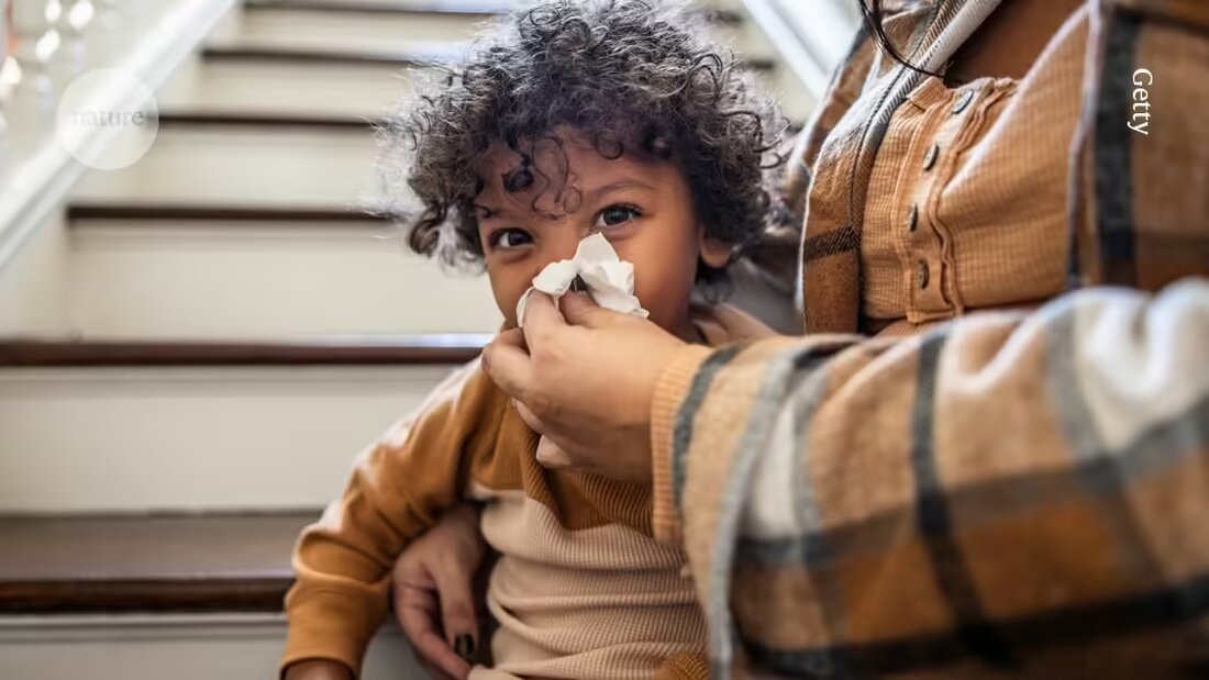 Die Nase beherbergt eine Vielzahl langlebiger Immunzellen, die bereit sind, virale und bakterielle Infektionen abzuwehren. Eine neue Studie zeigt, dass die oberen Atemwege wichtige Trainingsorte sind, an denen Immunzellen Eindringlinge "merken". Dies könnte die Entwicklung von wirksameren nasalen Impfstoffen beschleunigen. Erfahren Sie mehr über die spannenden Erkenntnisse in diesem Artikel.