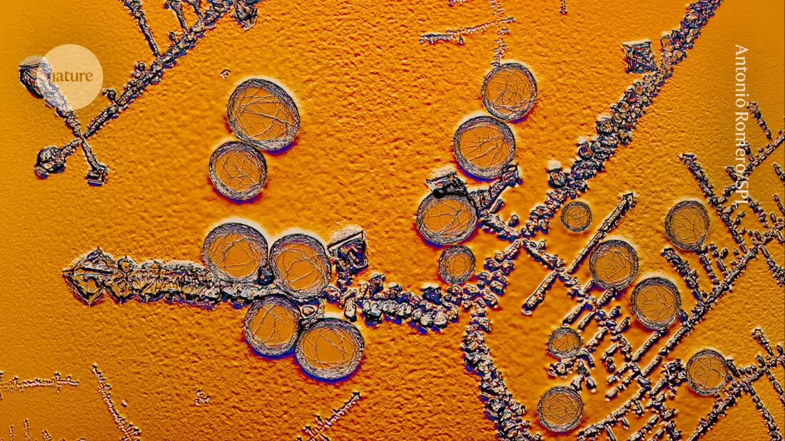 Wissenschaftler entwickeln 'smarte' Insulinvarianten, die Blutzuckerwerte automatisch regulieren und extremen Schwankungen vorbeugen.