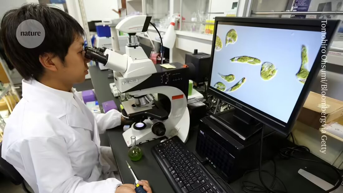Mehr als 500 Organisationen mit Hunderttausenden Wissenschaftlern in Japan haben eine Petition gestartet, um die Regierung zur Erhöhung der Mittel für das Hauptförderungsprogramm für wissenschaftliche Forschung aufzufordern. Unterstützen Sie die Forderung nach einer stärkeren Finanzierung und die Bewahrung der internationalen Wettbewerbsfähigkeit der japanischen Wissenschaft.