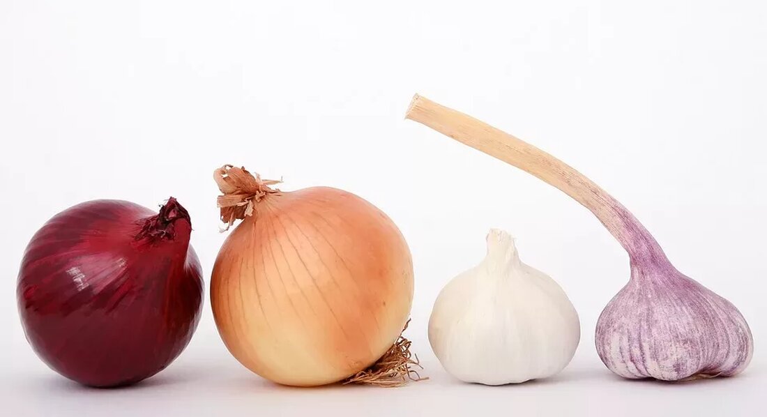 Kräuter in der Schwangerschaft und Stillzeit Die Schwangerschaft und Stillzeit sind besondere Phasen im Leben einer Frau, in denen die Gesundheit von Mutter und Kind höchste Priorität haben sollte. Während dieser Zeiten müssen werdende Mütter besonders vorsichtig mit ihrem Lebensstil und ihrer Ernährung umgehen. Viele Frauen fragen sich daher, ob es sicher ist, Kräuter während der Schwangerschaft und Stillzeit zu konsumieren. In diesem Artikel werden wir uns genauer mit diesem Thema auseinandersetzen und herausfinden, welche Kräuter in dieser Zeit sicher verwendet werden können und welche vermieden werden sollten. Kräuter während der Schwangerschaft Während der Schwangerschaft ist es wichtig, den Körper …