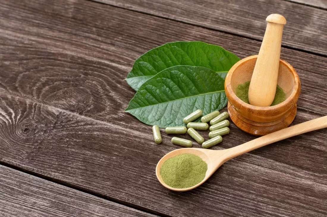Kratom, mit wissenschaftlichem Namen Mitragyna speciosa, ist ein Baum, der hauptsächlich in Südasien, insbesondere in Malaysia, Thailand und Indonesien, vorkommt. Dieser Baum erreicht bei Reife eine maximale Höhe von 25 Zentimetern (cm) und bildet eine charakteristische oval-lanzettliche Blattform. Die Blätter dieses Baumes weisen eine gefiederte Aderung auf, die weiß, grün oder rot sein kann. Kratom gehört zur Familie der Kaffeegewächse und hat ähnliche dosisabhängige stimulierende Eigenschaften wie Koffein, enthält jedoch kein Theophyllin oder Koffein. Kratom hat in den letzten beiden Jahrzehnten an Bedeutung gewonnen aufgrund seiner opiatähnlichen Wirkungen sowie dosisabhängiger stimulierender Eigenschaften, die durch die in den Blättern enthaltenen Indol-Alkaloide &hellip;