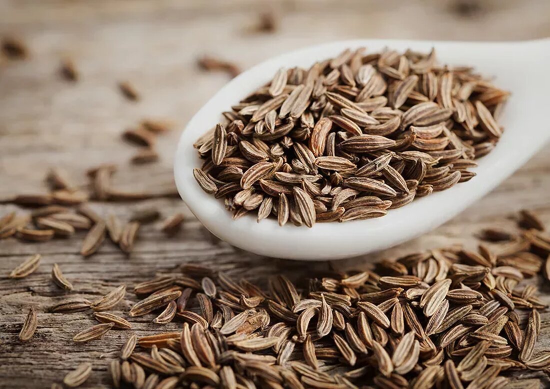 Kümmel (Carum carvi) ist eine aromatische Pflanze, die anderen Mitgliedern der Karottenfamilie ähnelt, mit gefiederten Blättern und winzigen weißen Blüten, die kleine harte braune halbmondförmige Samen ergeben. Diese Samen sind der am häufigsten verwendete Teil der Pflanze und sie sind als Gewürz beim Kochen beliebt. Sie verleihen Suppen, Eintöpfen und – häufiger – Backwaren einen charakteristischen erdigen Lakritzgeschmack (Sie erkennen sie möglicherweise an Roggenbrot). Wie viele andere aromatische Pflanzen wird Kümmel häufig für medizinische Zwecke verwendet. In der Tat werden Kümmel seit der Antike zur Behandlung verschiedener medizinischer Probleme in traditionellen Heilsystemen, einschließlich Ayurveda, auf der ganzen Welt eingesetzt. Ihre Verwendung als …