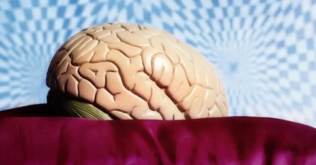 LSD und die Förderung der neuronalen Plastizität: Ein neuer Ansatz für die Gehirngesundheit? Lysergsäurediethylamid, allgemein als LSD bekannt, ist eine starke psychoaktive Substanz, die Mitte des 20. Jahrhunderts große Aufmerksamkeit erregte, hauptsächlich aufgrund ihrer tiefgreifenden Auswirkungen auf Wahrnehmung, Stimmung, Kognition und ihr potentielles Einfluss auf die neuronale Plastizität. Ursprünglich im Jahr 1938 von Albert Hofmann synthetisiert, wurde LSD anfangs für seine potenziellen therapeutischen Anwendungen, insbesondere in der Psychiatrie, erforscht. Die folgenden Jahrzehnte führten jedoch zu einem Wandel im Ruf von LSD, da es zunehmend mit Gegenkultur-Bewegungen und Freizeitkonsum in Verbindung gebracht wurde, was zu einem weitreichenden Verbot führte. Im 21. …