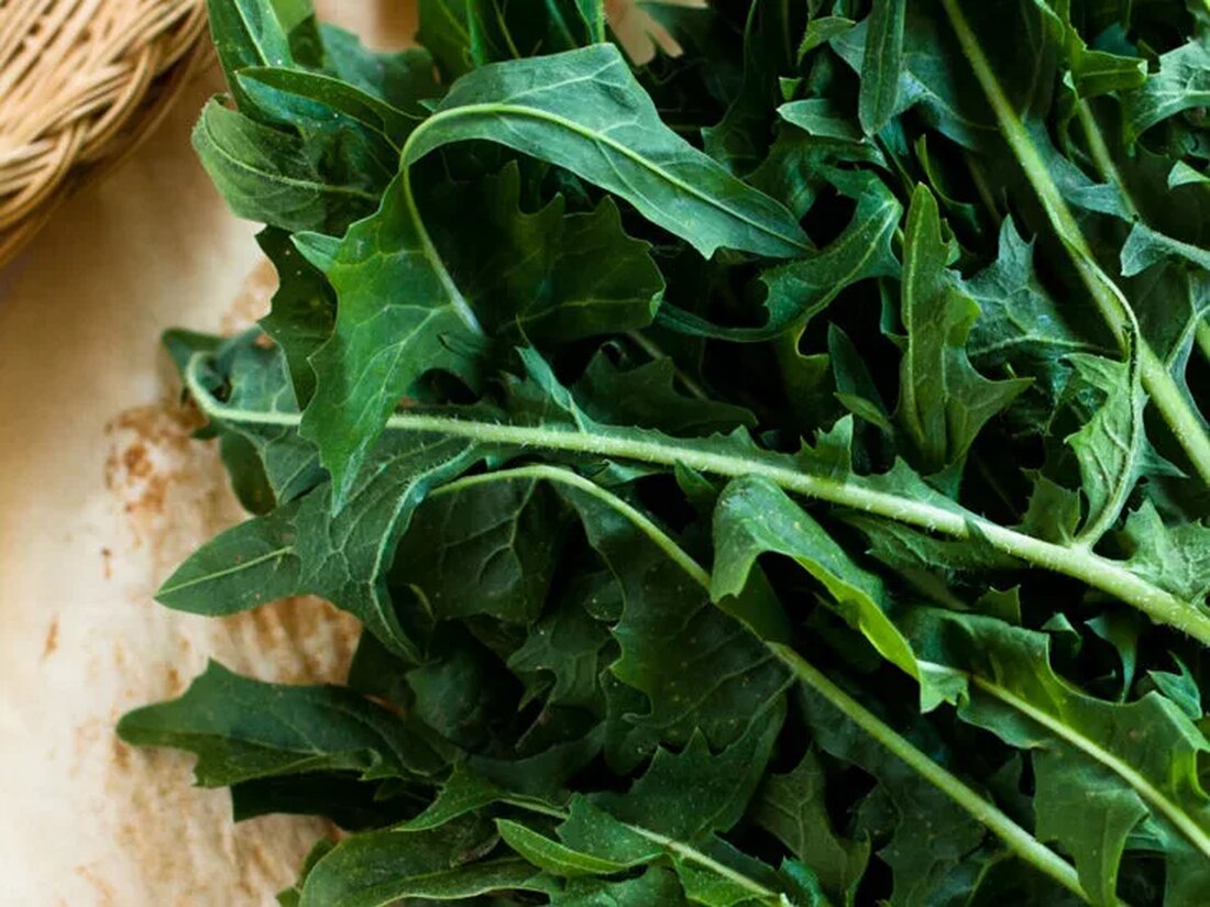 Löwenzahnblätter, bzw. Löwenzahn (Taraxacum officinale) ist das bescheidene Kraftwerk der Kräutermedizin. Löwenzahn (insbesondere das Blatt) wird oft als Unkraut charakterisiert und ist mit nützlichen Nährstoffen gefüllt, die es ihm ermöglichen, wesentliche, positive Beiträge zur Unterstützung der Gesundheit zu leisten. In der traditionellen chinesischen Medizin wird Löwenzahn verwendet, um die Gesundheit der Leber zu fördern, Knochen und Gelenke zu nähren und die normalen Entgiftungswege des Körpers zu unterstützen. Die Pflanze ist einfach zu züchten, einfach zu verwenden und ihre vielen positiven Eigenschaften könnten Sie überraschen. Nährstoffe im Löwenzahnblatt Ob Sie sie einem grünen Blattsalat oder einem grünen Smoothie hinzufügen, Löwenzahnblätter enthalten eine Vielzahl nützlicher Nährstoffe. Tatsächlich ist jeder Teil der Pflanze – …