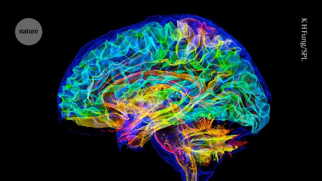 Neueste Fortschritte in der Psychiatrie: Ein neu zugelassener Medikamentenansatz zur Behandlung von Schizophrenie zeigt Potenzial gegen Alzheimer.