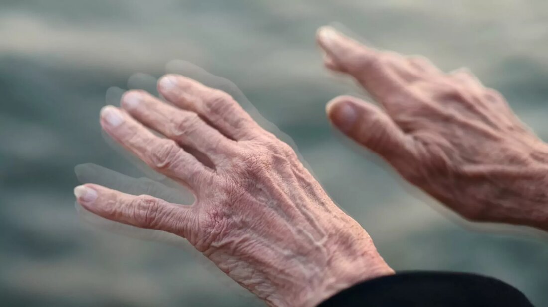 Zusammenfassung als Video ansehen: https://youtu.be/FtdIp9euBzA Die Parkinson-Krankheit, eine chronische, degenerative Störung des Nervensystems, resultiert aus einem Dopamin-produzierenden Mangel an Gehirnzellen. Anstatt Zeit und Geld für allopathische Behandlungen aufzuwenden, die oft mehr schaden als nützen können, gibt es natürliche Heilmittel, die Sie einnehmen können, um Parkinson wirksam zu bekämpfen. Insbesondere Kräuter und Gewürze für die Parkinson-Krankheit gehören zu den am meisten erforschten. Top Kräuter und Gewürze 1. Grüner Tee Nicht viele Menschen können heutzutage aus gutem Grund etwas Schlechtes über Grüntee sagen. Grüner Tee hilft nicht nur beim Abnehmen, bei der Bekämpfung von Krebs und beim anmutigen Altern, sondern zeigt auch Anzeichen dafür, …