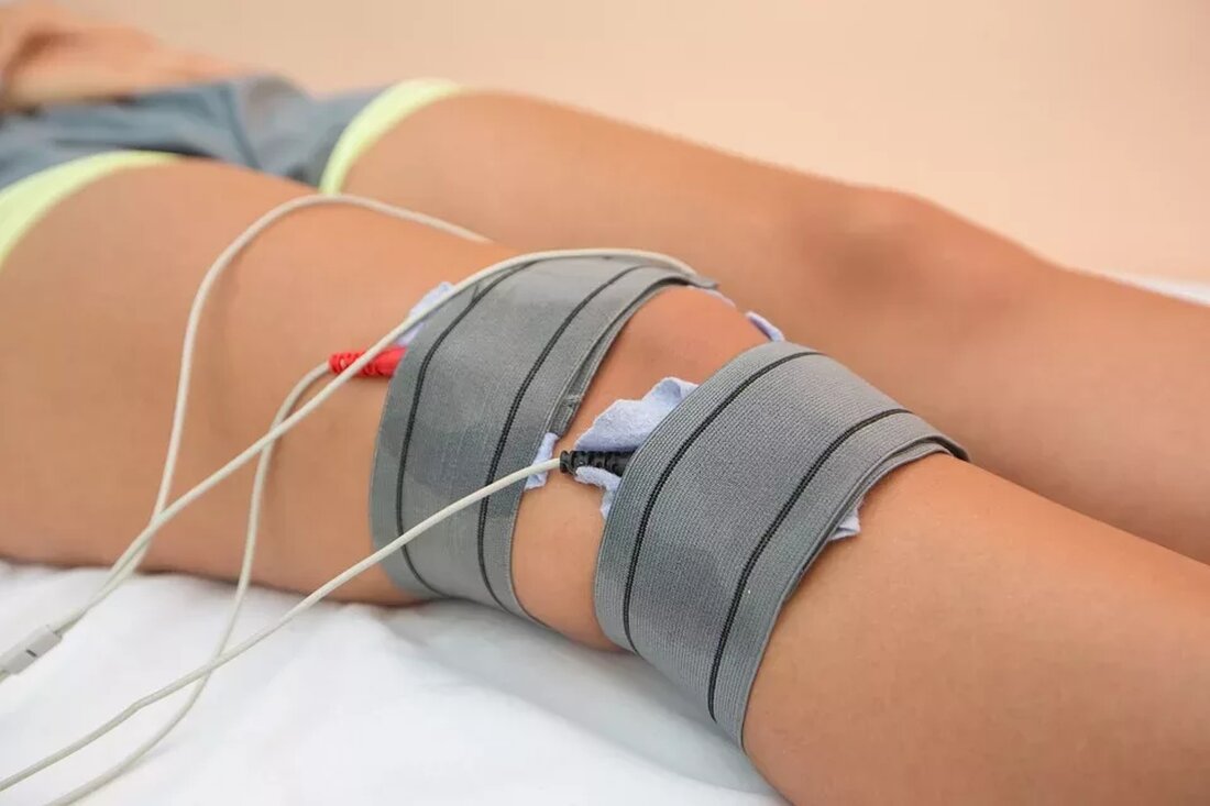 Physiotherapie für Tiere: Techniken und Anwendungen Die Physiotherapie ist nicht nur für Menschen von Vorteil, sondern kann auch bei Tieren angewendet werden. Die Therapieform unterstützt die Genesung und Rehabilitation von Tieren nach Verletzungen, Operationen oder bei chronischen Erkrankungen. In diesem Artikel werden verschiedene Techniken und Anwendungen der Physiotherapie für Tiere vorgestellt. 1. Was ist Physiotherapie für Tiere? Die Physiotherapie für Tiere ist eine Therapieform, die darauf abzielt, die Beweglichkeit, Funktion und Lebensqualität von Tieren zu verbessern. Sie basiert auf den gleichen Prinzipien wie die Physiotherapie für Menschen, jedoch sind bestimmte Techniken und Behandlungsmethoden speziell auf die Bedürfnisse von Tieren zugeschnitten. …