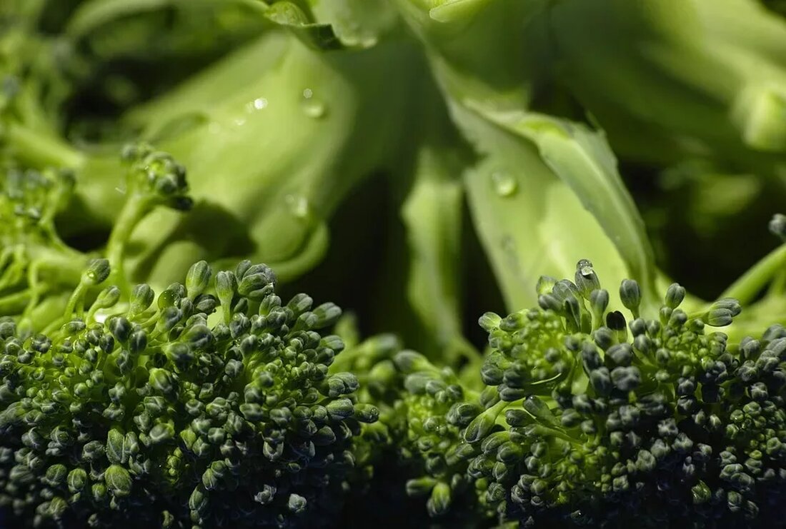 Rohkost: Gesund oder gefährlich? Rohkost, auch bekannt als Rohkosternährung, ist eine Ernährungsform, bei der Lebensmittel unverarbeitet und ungekocht verzehrt werden. Befürworter der Rohkost argumentieren, dass diese Ernährungsweise zahlreiche gesundheitliche Vorteile bieten kann. Es gibt jedoch auch Bedenken und Risiken im Zusammenhang mit einer ausschließlich rohen Ernährung. In diesem Artikel werden wir eingehender untersuchen, ob Rohkost gesund oder gefährlich ist. Was ist Rohkost? Rohkost besteht aus einer Vielzahl von Lebensmitteln, wie Obst, Gemüse, Nüsse, Samen, Keimlinge und Algen. Die Idee hinter der Rohkosternährung ist es, die natürlichen Nährstoffe und Enzyme in Lebensmitteln zu erhalten, indem sie nicht über 47 Grad Celsius &hellip;