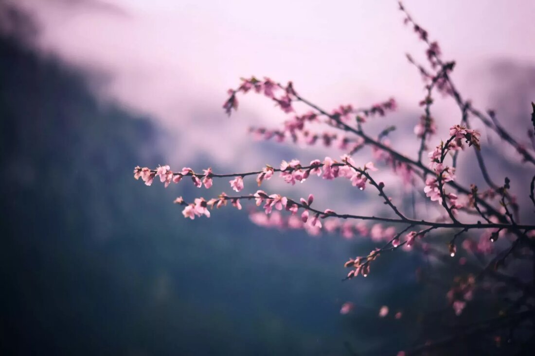 Nach einem langen, dunklen Winter signalisiert die Ankunft des Frühlings eine Zeit des Wiedererwachens. Wir sehen es um uns herum in der Natur mit Veränderungen im Licht, Knospen, die auf Bäumen erscheinen, und Trieben, die aus dem Boden auftauchen. Eines meiner Lieblingszeichen ist, wenn die Blüten kurz vor der Blüte stehen. Hier in der westlichen Hemisphäre, von wo aus ich dies schreibe, bemerken wir normalerweise, dass die Tage im Januar länger werden, mit einer deutlichen Verschiebung im Februar. Vor diesem Hintergrund ist es interessant festzustellen, dass der März zwar normalerweise mit dem Frühlingsanfang in Verbindung gebracht wird, der Frühling im …