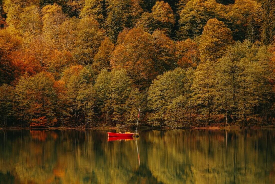Der offizielle Herbstbeginn hier auf der Nordhalbkugel fällt zur Tagundnachtgleiche im September, wenn sich der Äquator der Erde direkt durch das Zentrum der Sonnenbahn bewegt. Es ist die Jahreszeit, in der wir bemerken, dass die Nächte hereinbrechen und die Temperaturen zu sinken beginnen. Vielleicht fangen Sie auch an, sich nach wärmenden Speisen wie Suppen und Eintöpfen zu sehnen, was kein Zufall ist, da in der Traditionellen Chinesischen Medizin (TCM) empfohlen wird, zu diesem Zeitpunkt weniger kalte und rohe Lebensmittel zu sich zu nehmen, um das Verdauungssystem leichter durchgängig zu unterstützen die Yin-Periode des Jahres. In der TCM ist der Herbst …