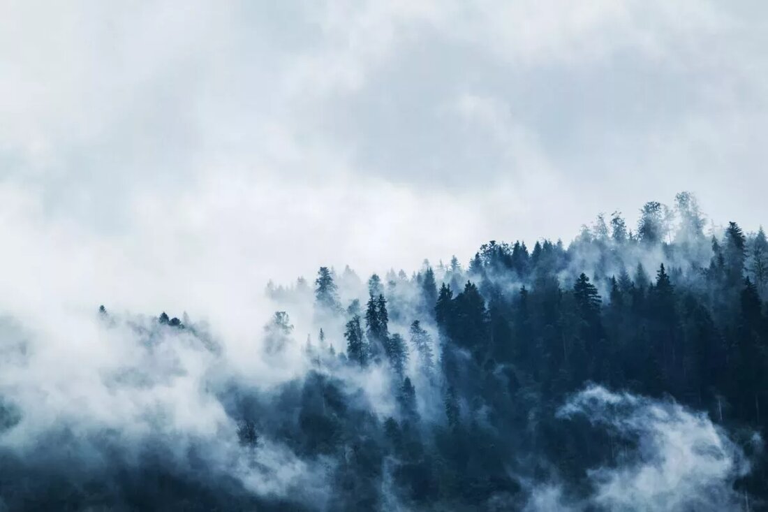 Der Winter ist die ultimative Yin-Saison. Der astronomische Winter beginnt am 21. Dezember, der Wintersonnenwende. Nach dem chinesischen Mondkalender beginnt der Winter jedoch normalerweise Anfang November. In diesem Jahr war der Winteranfang 7NS November (bekannt als Lidong, der erste Sonnenterm der Saison). In der Natur ist es eine Zeit der Stille. Die meisten Bäume sind kahl, die Tage sind kürzer und die Tiere gehen in den Winterschlaf. Auch wenn wir vielleicht erst im Frühjahr in den Winterschlaf gehen können, können wir den Hinweisen der Natur folgen, indem wir langsamer werden, unsere Energie sparen und diese Gelegenheit zur Selbstbeobachtung und Wiederherstellung …