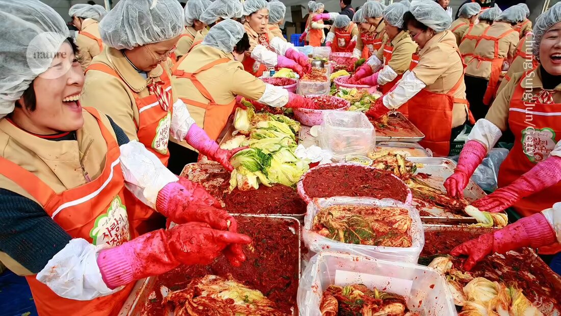 Eine neue Studie enthüllt, dass ein kleiner Teil des Mikrobioms eines jeden Menschen aus den Lebensmitteln stammt, die sie essen. Erfahren Sie mehr über die Vielfalt der Mikroorganismen in über 2.500 Lebensmitteln und ihre Bedeutung für unseren Körper.