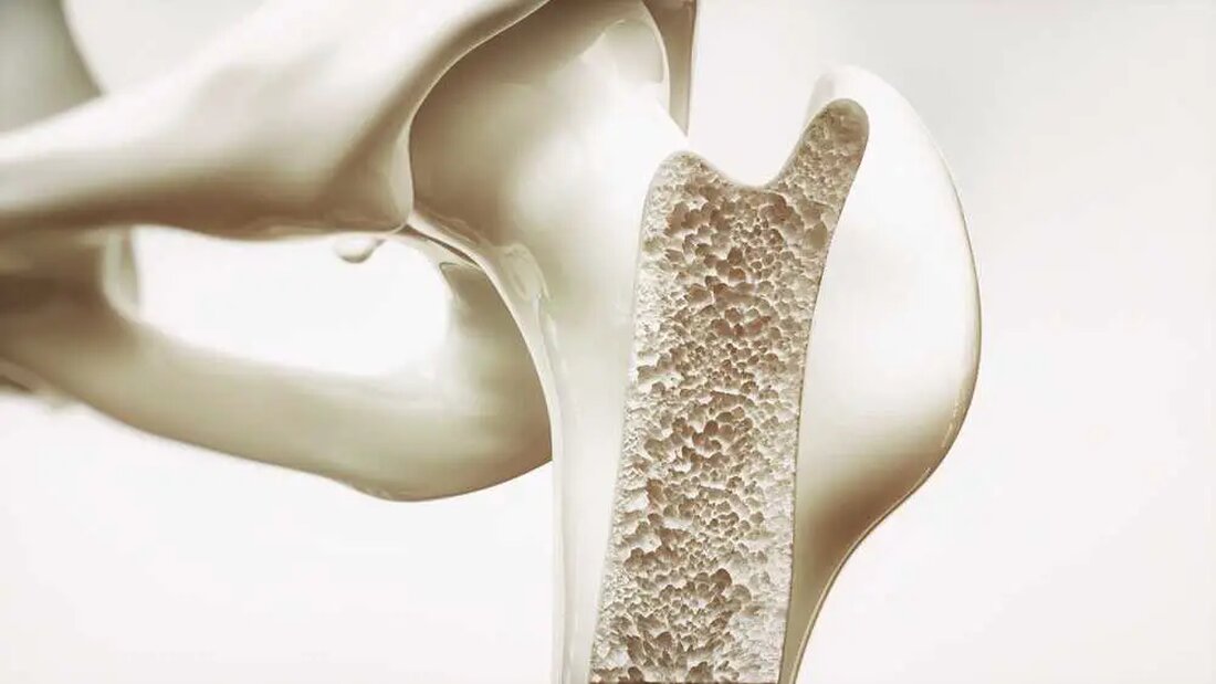 Der essentielle Quartett für optimale Knochengesundheit: Magnesium, Calcium und die Vitamine D und K2 Wenn es um die Gesundheit der Knochen geht, handelt es sich um ein Zusammenspiel von Nährstoffen, die harmonisch zusammenarbeiten. Jahrzehntelang lag das Hauptaugenmerk vor allem auf Calcium. Allerdings hat sich eine breitere Sichtweise ergeben, die zeigt, dass auch Magnesium und die Vitamine D und K2 eine wichtige Rolle spielen. Das Verständnis für ihre kollektive Bedeutung und die gegenseitige Abhängigkeit für optimale Aufnahme und Funktion hat grundlegend verändert, wie wir die Knochengesundheit angehen. Schauen wir genauer auf diese Zusammenhänge und die Bedeutung des ausgewogenen Verhältnisses dieser essenziellen …