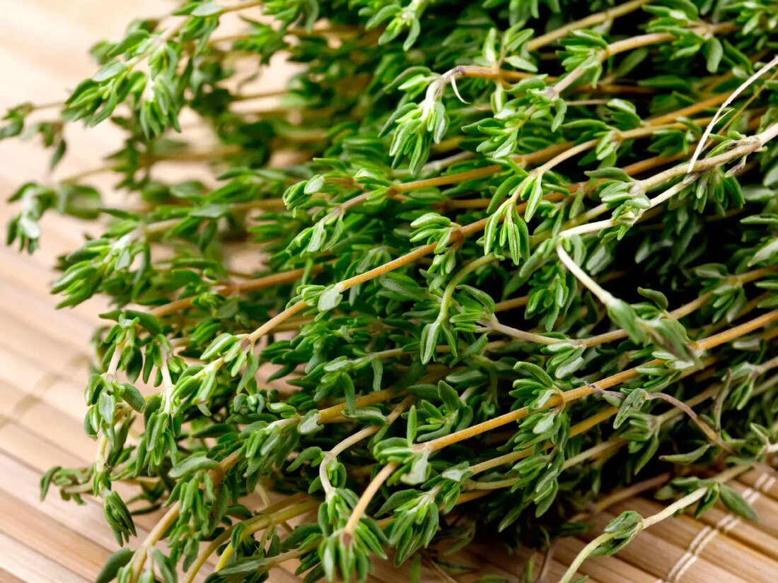 Es gibt wenige Dinge, die ein Thymianzweig nicht wesentlich verbessern kann. Dieses vielseitige Kraut passt gut zu einer Vielzahl von Aromen und ist voller gesundheitsfördernder Verbindungen, Vitamine, Antioxidantien und anderer Nährstoffe. Thymian gehört zur Gattung Thymus, die zur Familie der Minzen gehört und eng mit Oregano verwandt ist – einem weiteren starken Kraut. Dieses mehrjährige Kraut stammt aus dem südlichen Mittelmeerraum und wird heute weltweit für seine kulinarischen und therapeutischen Zwecke angebaut. Während dieses Kraut Ihre Küche belebt, kann Thymian auch dazu beitragen, schädliche Organismen aus Ihrem Körper zu entfernen und Ihre geistige und körperliche Gesundheit zu unterstützen. Was ist Thymian? Thymian ist ein immergrünes Kraut, das …