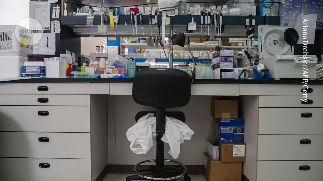 Das US-amerikanische National Institutes of Health (NIH) erwägt, die finanzielle Unterstützung für Postdoktoranden auf maximal fünf Jahre zu begrenzen. Erfahren Sie mehr über die Diskussion über mögliche Auswirkungen auf die Arbeitsbedingungen und Berufsaussichten junger Forscher in der Biomedizin.