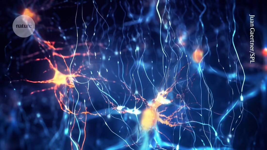Erforschen Sie die neuronale Kodierung von Wortbedeutungen im Gehirn mit der höchsten Auflösungskarte, die Wissenschaftler erstellt haben. Lesen Sie mehr über die faszinierenden Ergebnisse in dieser neuen Studie von Nature.