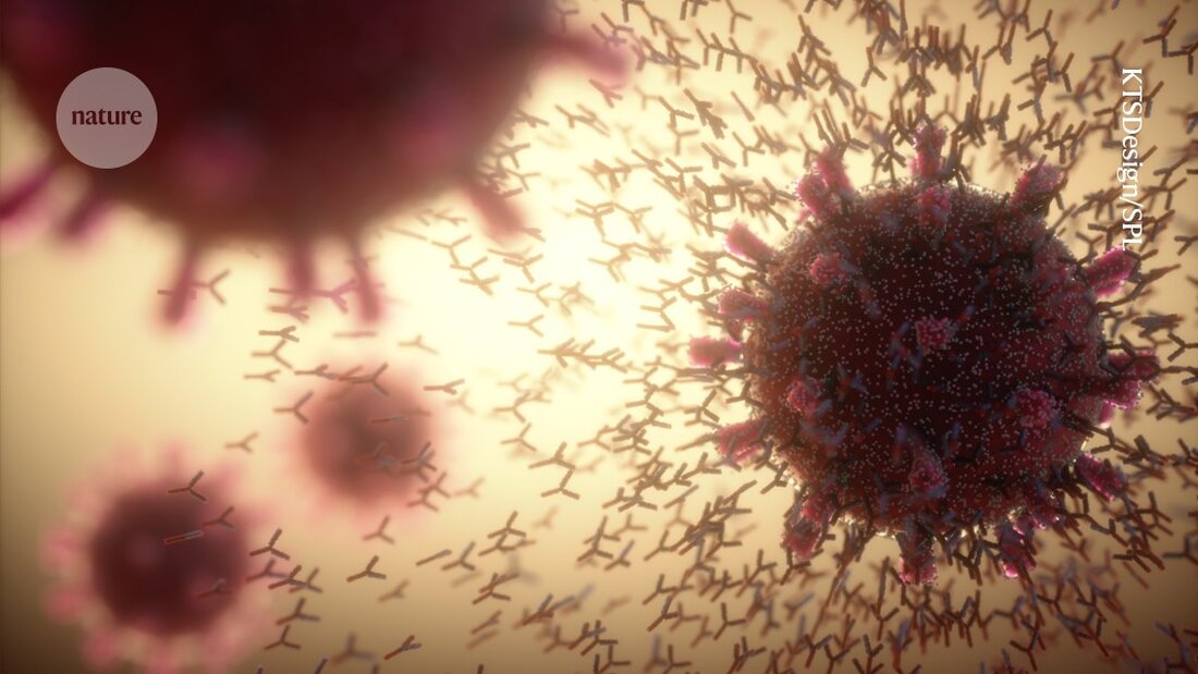 Erfahren Sie, welche vier wesentlichen Lektionen COVID-19 über unser Immunsystem offenbarte und wie sie unsere Gesundheitsstrategien beeinflussen.
