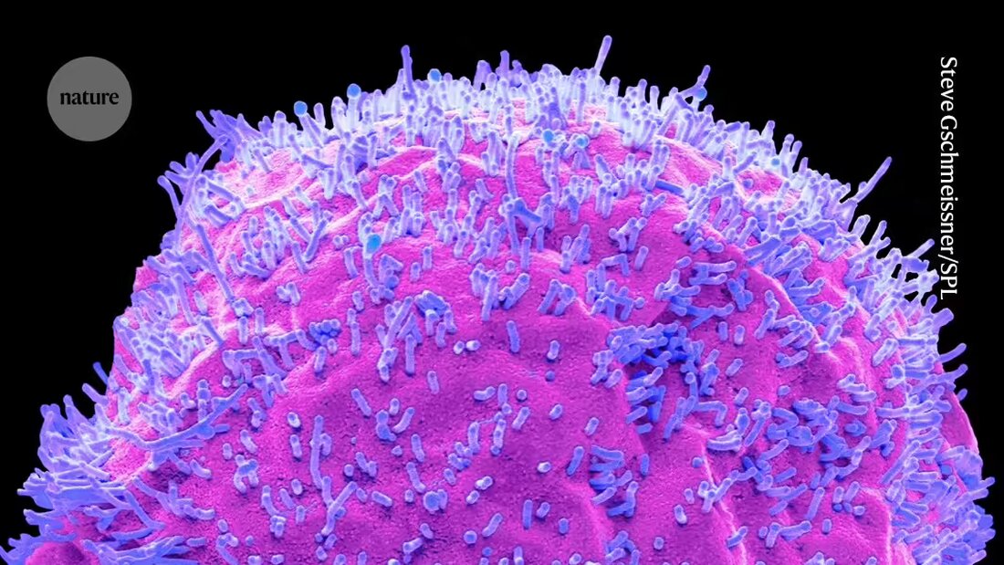 Erfahren Sie mehr über die Ausbreitung des H5N1-Vogelgrippevirus in Tieren und dessen potenzielle Auswirkungen auf die globale Gesundheit. Forscher analysieren die Immunantwort des menschlichen Körpers auf Influenza, um sich auf eine mögliche H5N1-Pandemie vorzubereiten. Lesen Sie hier alles über die Bedrohung, die von diesem hochpathogenen Virus ausgeht und wie sich Menschen darauf vorbereiten können.
