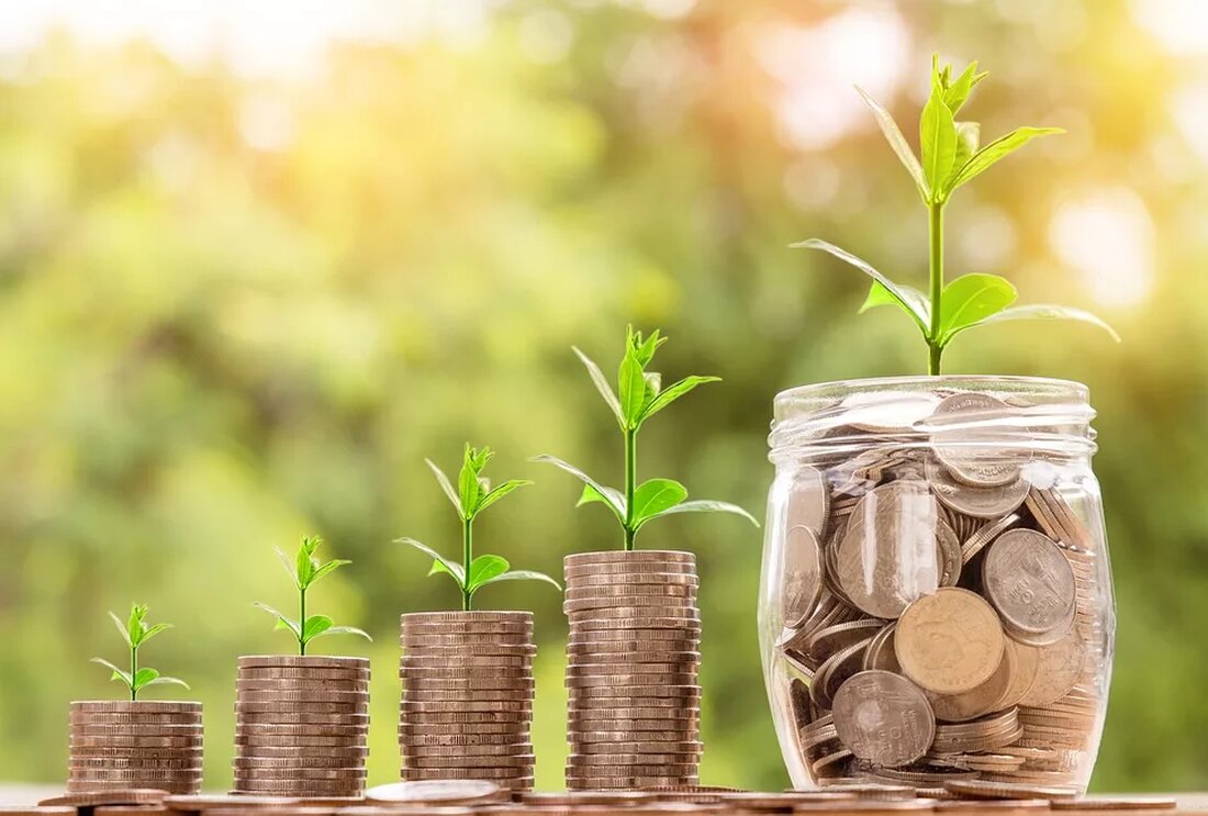Heilpflanzen werden seit Jahrhunderten in der Wirtschaft verwendet. Die Heilpflanzenindustrie hat großes wirtschaftliches Potenzial, aber auch Herausforderungen. In Zukunft sollten Heilpflanzen nachhaltig genutzt werden, um ihre Wirksamkeit zu erhalten.